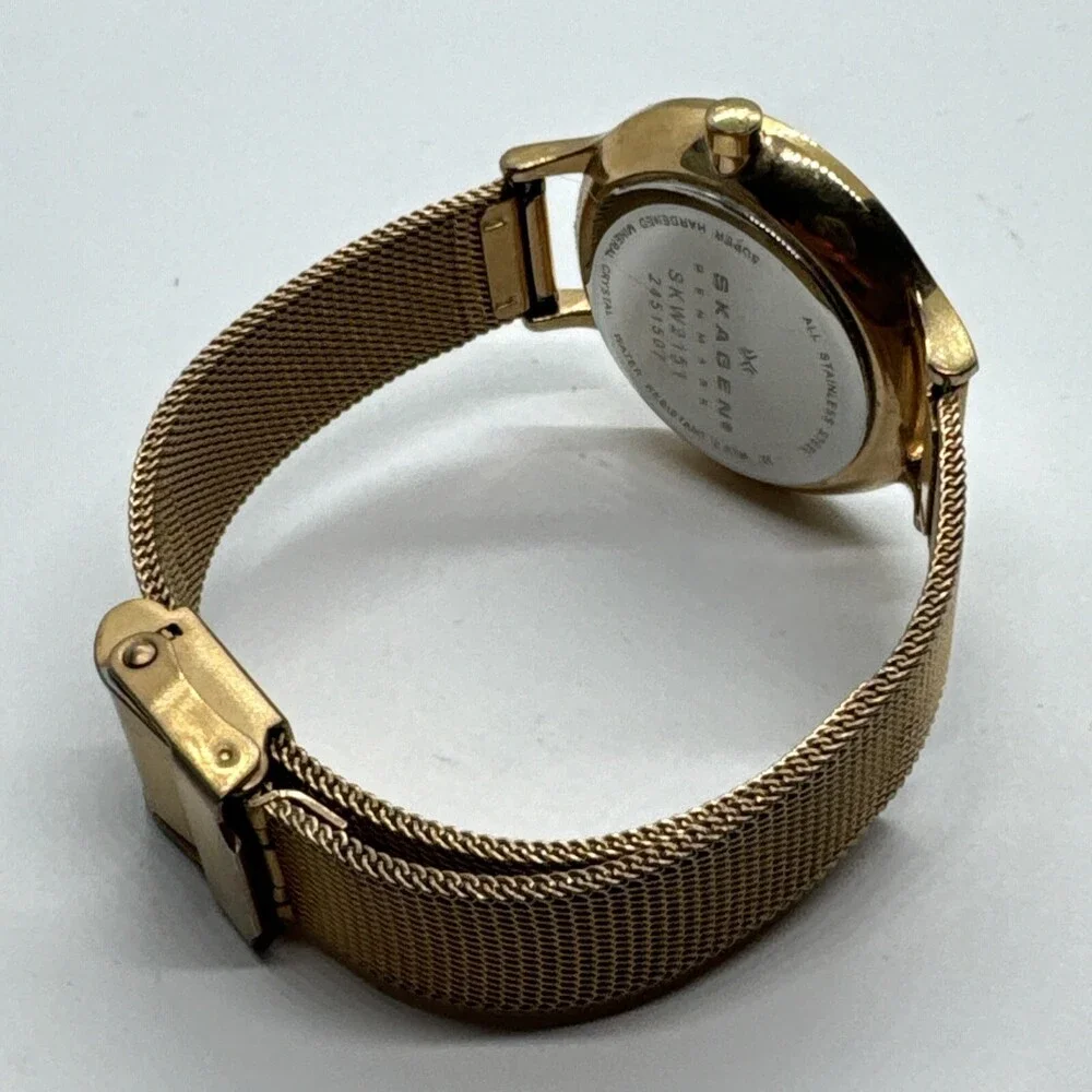Skagen SKW2151 Womens Stainless Steel Mesh Analog Dial Quartz Wrist Watch AEA290